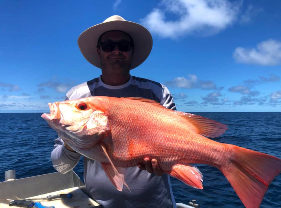 Gallery Airlie Boat Hire